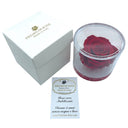 Rosa stabilizzata in cilindro plexiglass cm 9x8 cm