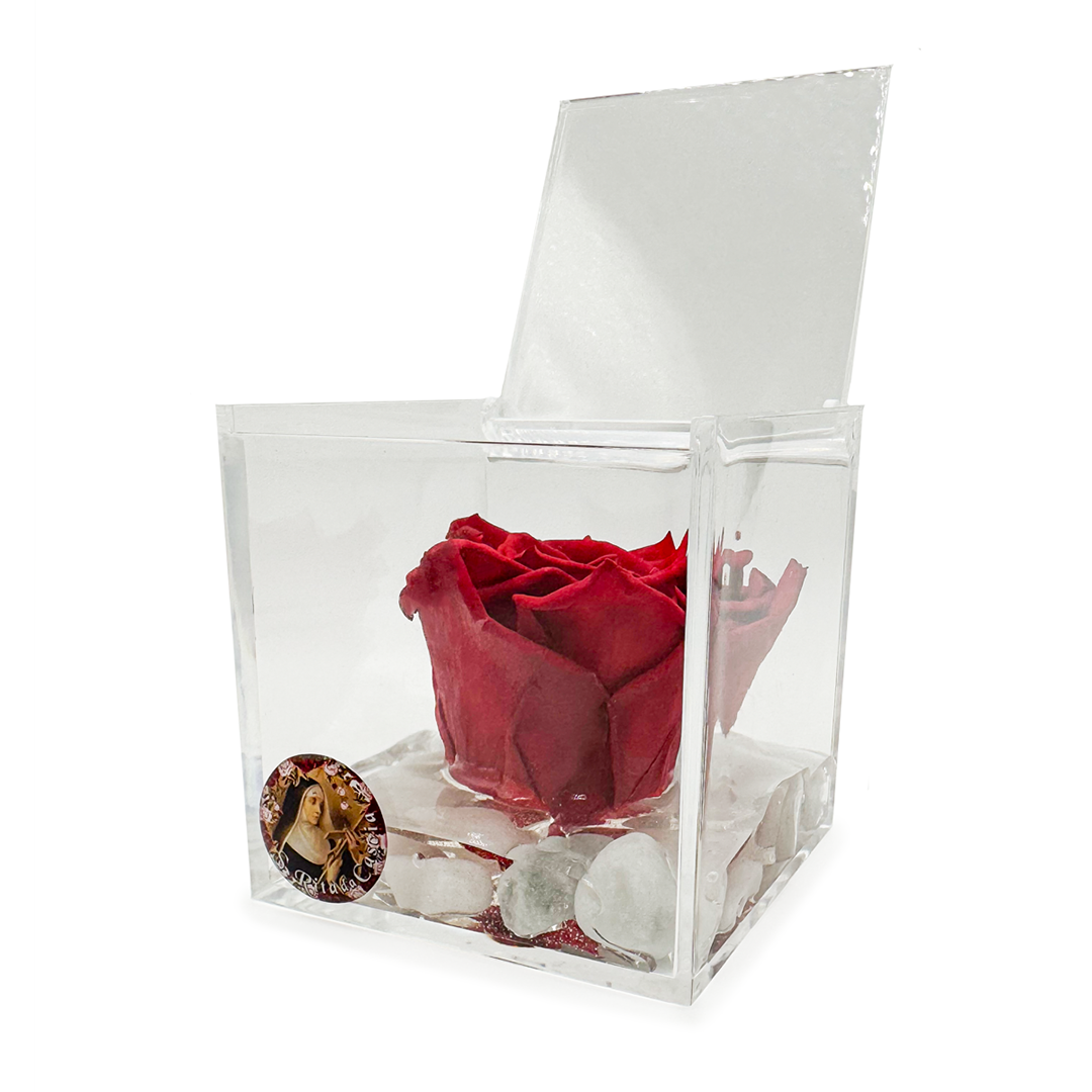 Rosa stabilizzata in box plexiglas con immagine di Santa Rita