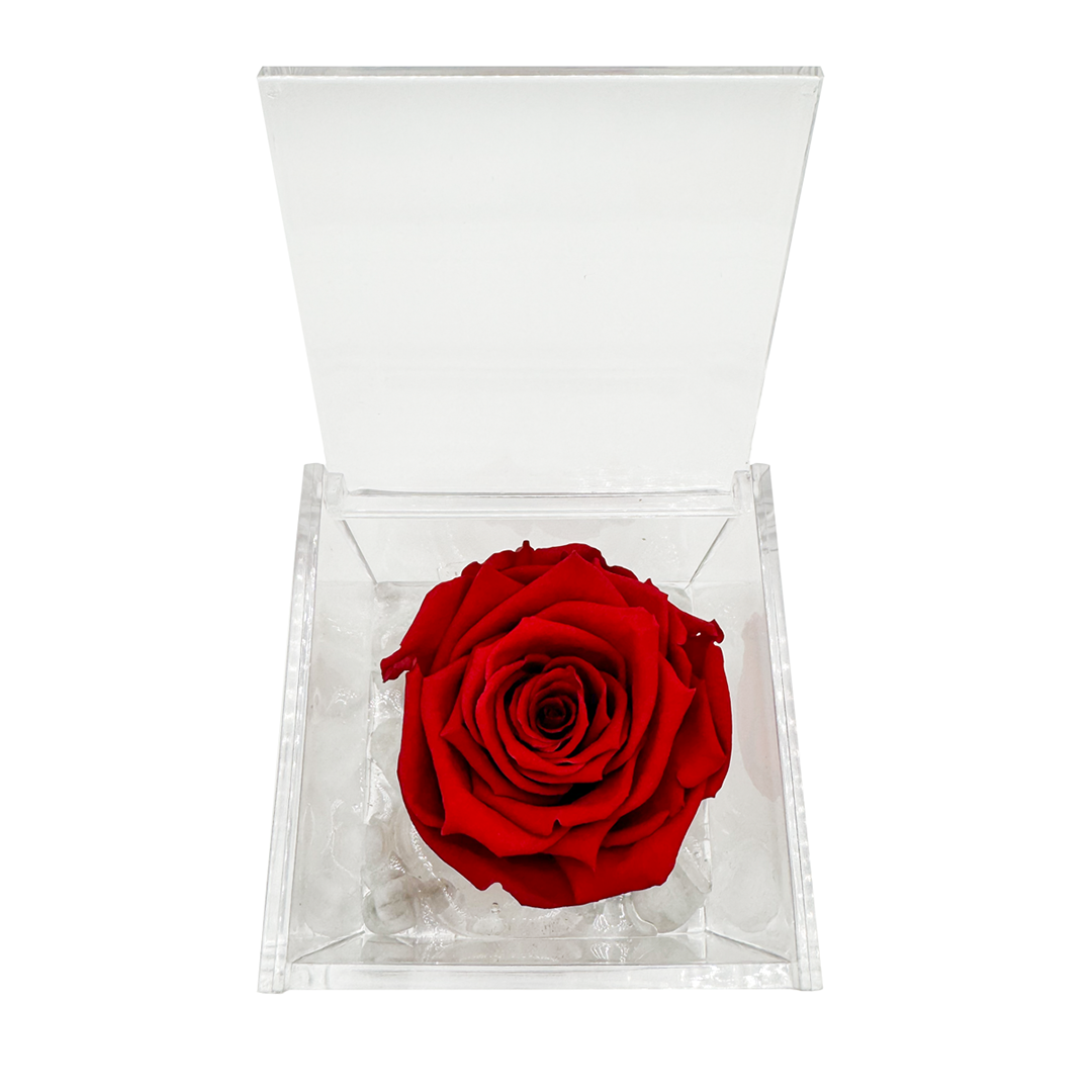 Rosa stabilizzata in box plexiglas con immagine di Santa Rita