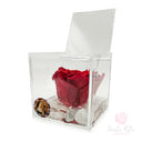 Rosa stabilizzata in box plexiglas con immagine di Santa Rita