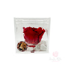 Rosa stabilizzata in box plexiglas con immagine di Santa Rita